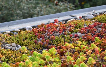 the cost of Aston Upthorpe green roof installation