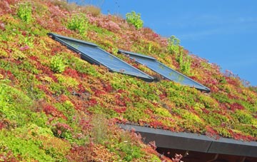 Aston Upthorpe living roof systems