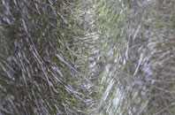 Aston Upthorpe fibreglass roof work